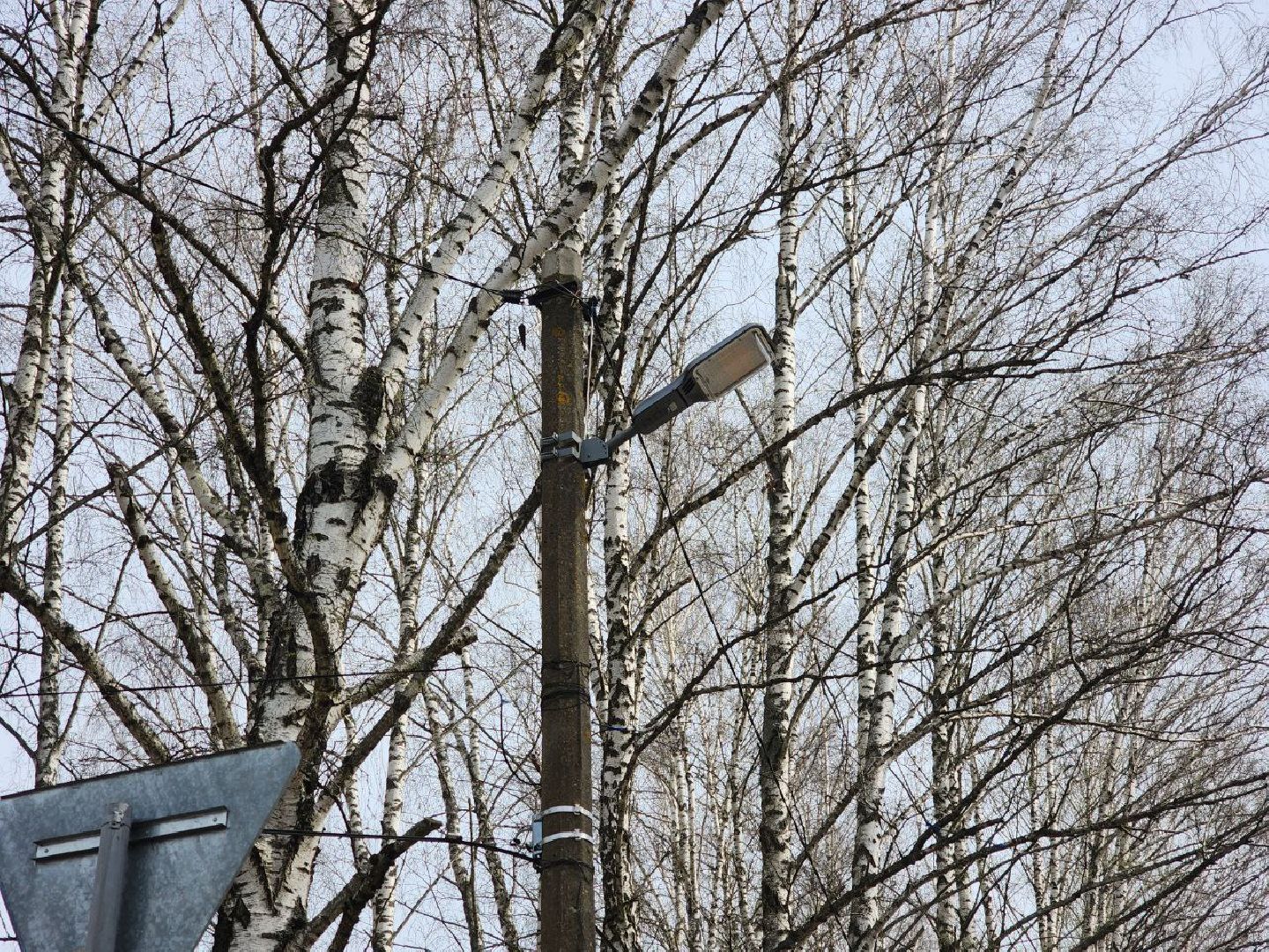 пущино, благоустройство, освещение,