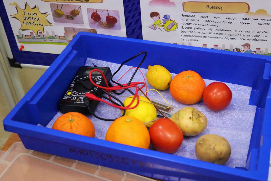 Краснознаменск, форум, школьники, твоя профессиональная карьера, Татьяна Хавренкова