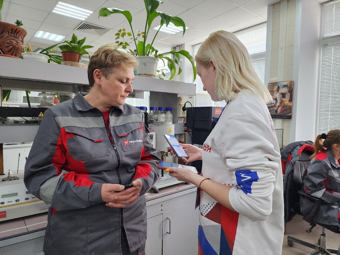 воскресенск, голосование за благоустройство, жители,