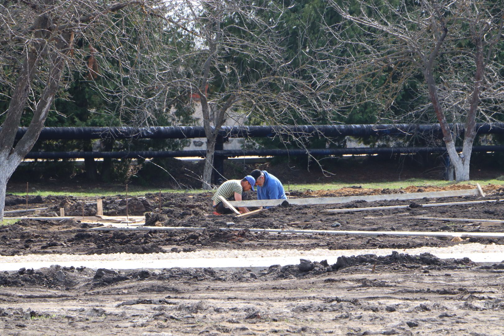 нацпроект, жилье и городская среда, проект президента, яблоневый сад, сад БТЗ, Успенский, Серебряные Пруды, фонтан,