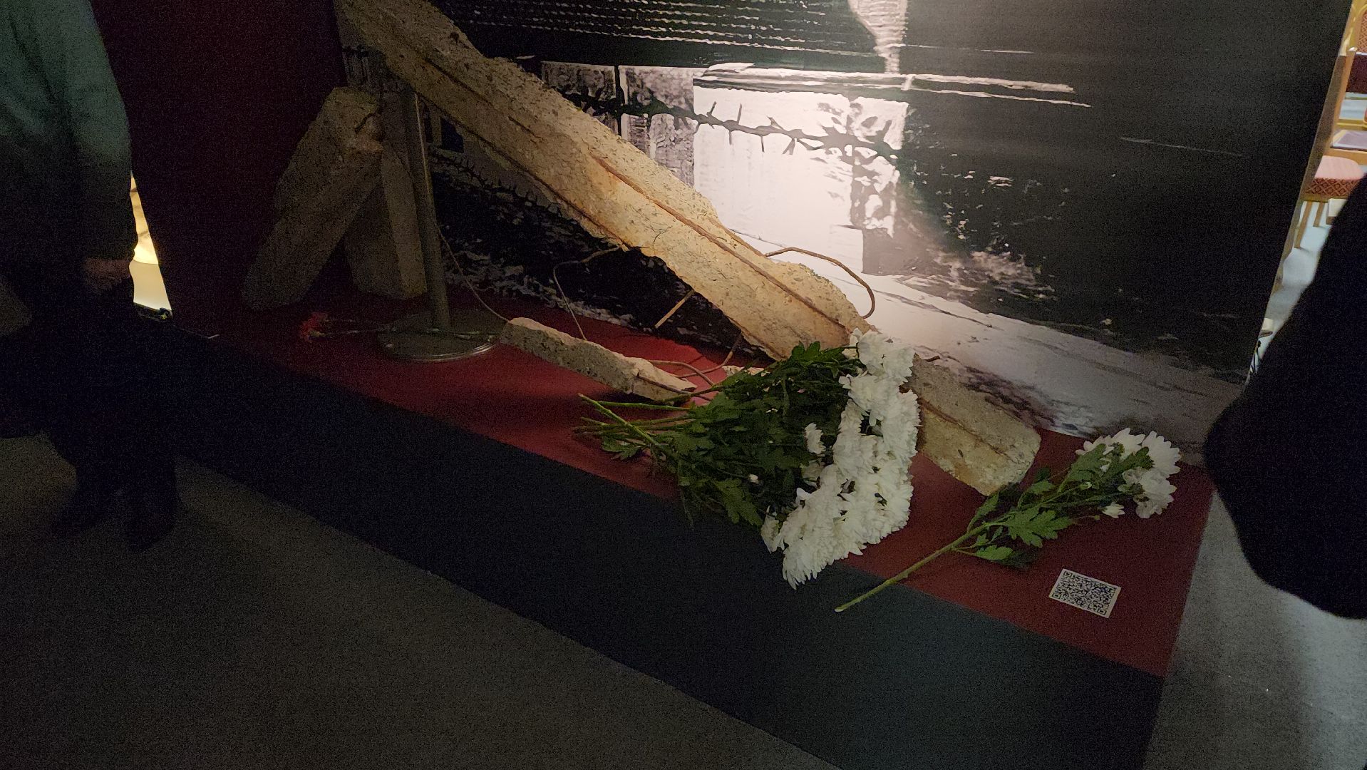 красногорск, музей антифашистов, музей победы, день памяти,