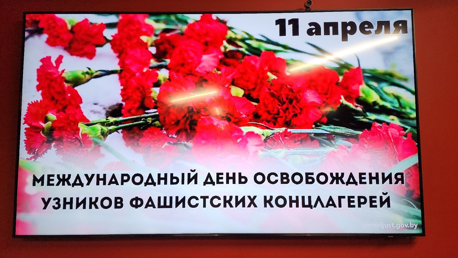 красногорск, музей антифашистов, музей победы, день памяти,