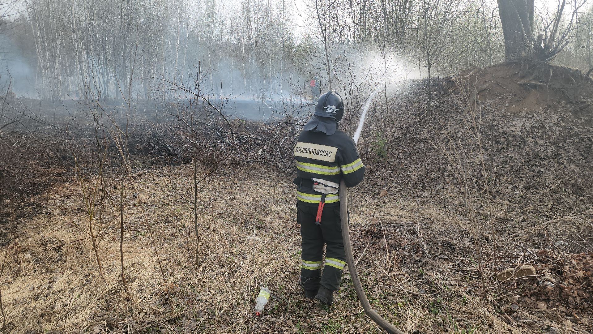 кашира, баскачи, горки, мособлпожспас, пожар, пал травы, тушение пожара, противопожарный ранец,