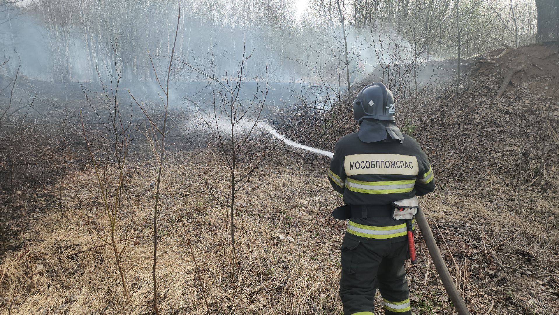 кашира, баскачи, горки, мособлпожспас, пожар, пал травы, тушение пожара, противопожарный ранец,