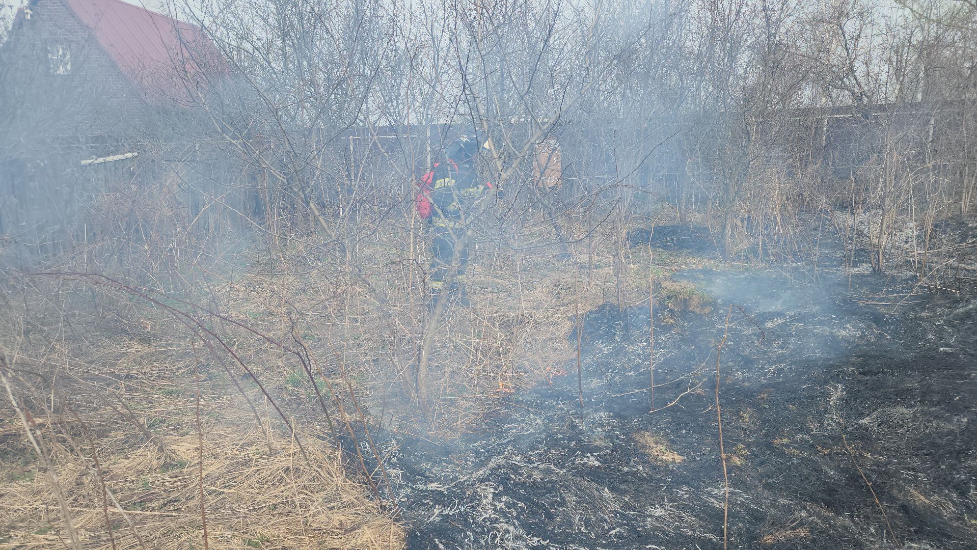 кашира, баскачи, горки, мособлпожспас, пожар, пал травы, тушение пожара, противопожарный ранец,
