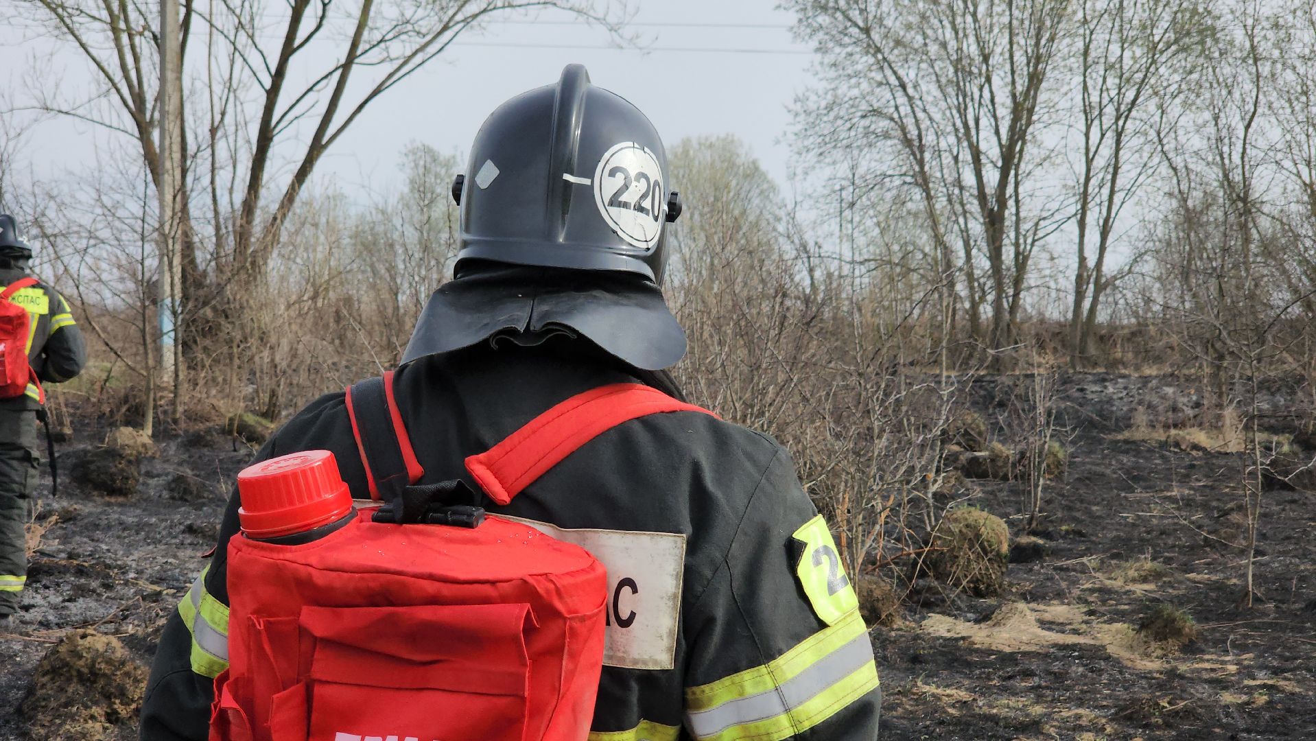 кашира, баскачи, горки, мособлпожспас, пожар, пал травы, тушение пожара, противопожарный ранец,