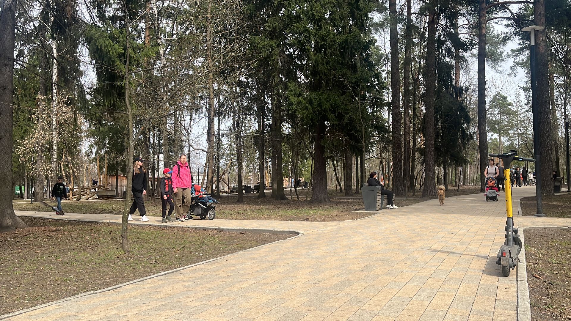 парк, усадьба, парки балашихи, топ,