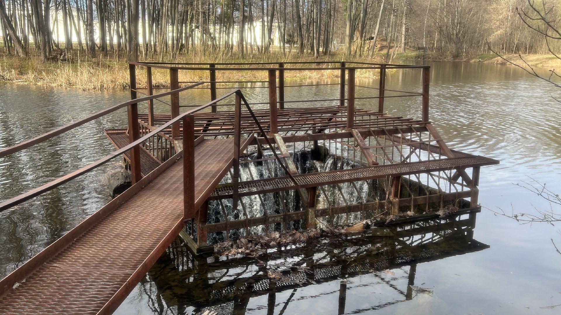 парк, усадьба, парки балашихи, топ,