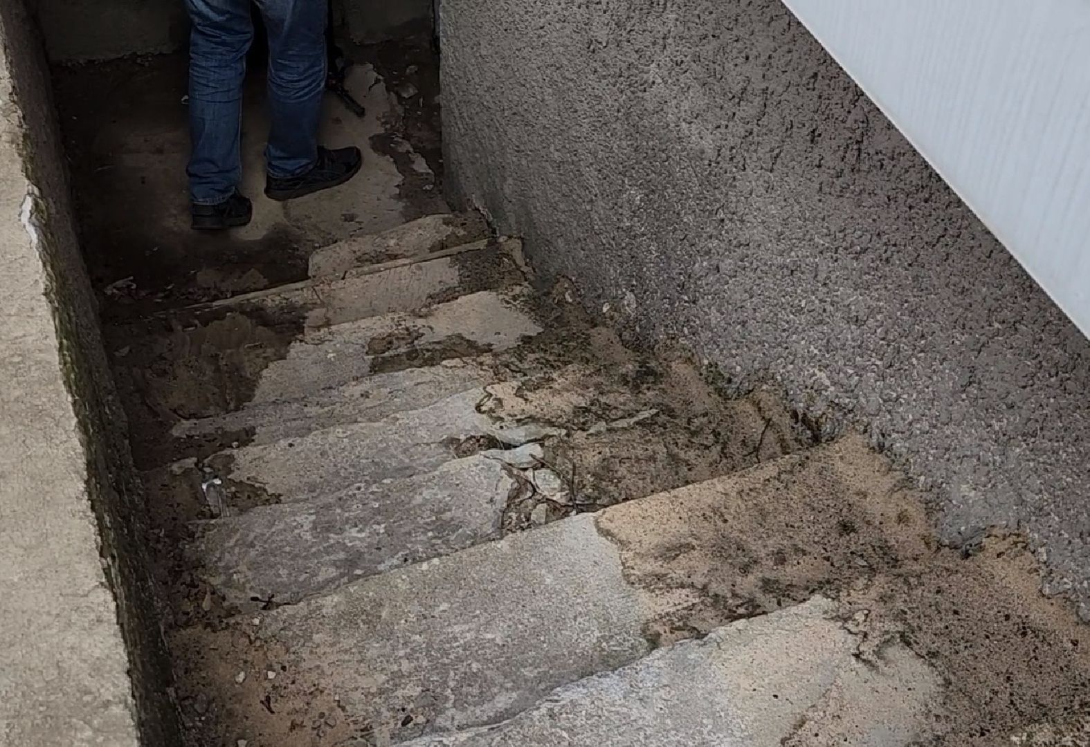 Дубна, Благоустройство, глава, жкх,