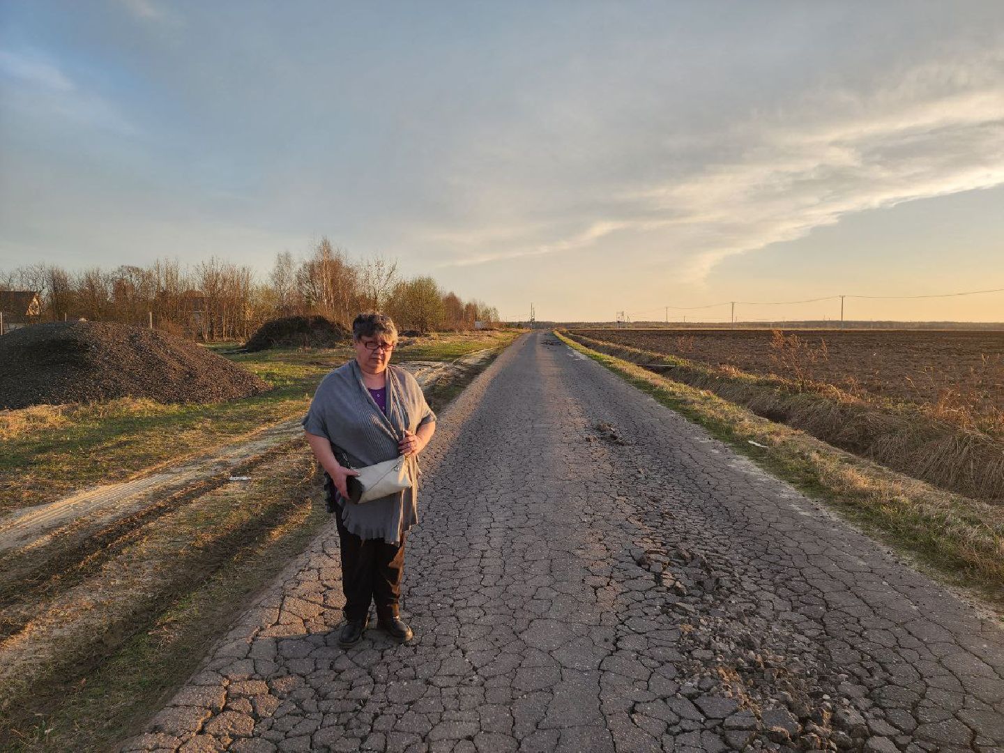 чехов, выездная администрация, жители, обращение жителей, ремонт дороги, деревня,