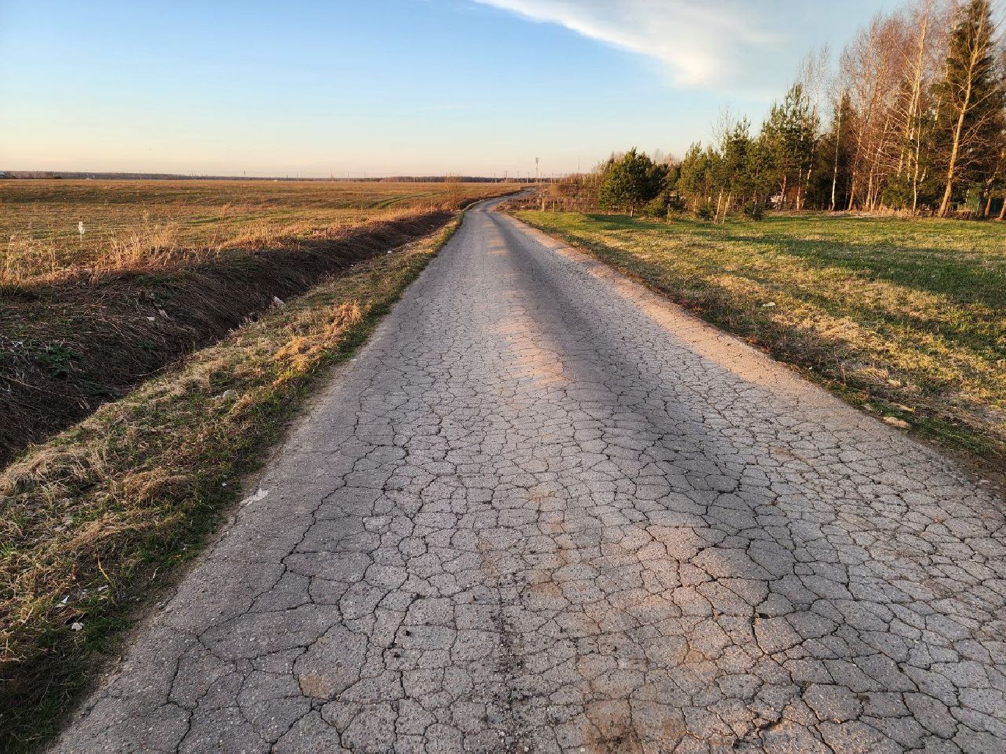 чехов, выездная администрация, жители, обращение жителей, ремонт дороги, деревня,