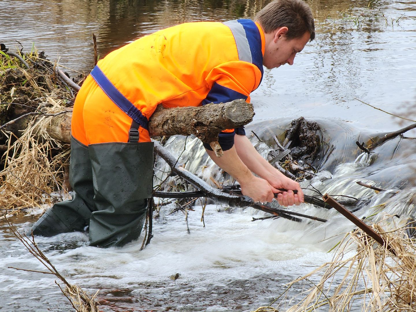 плотина, бобры, благоустройство, притыкино, дорожные работы, руза, рузский городской округ,