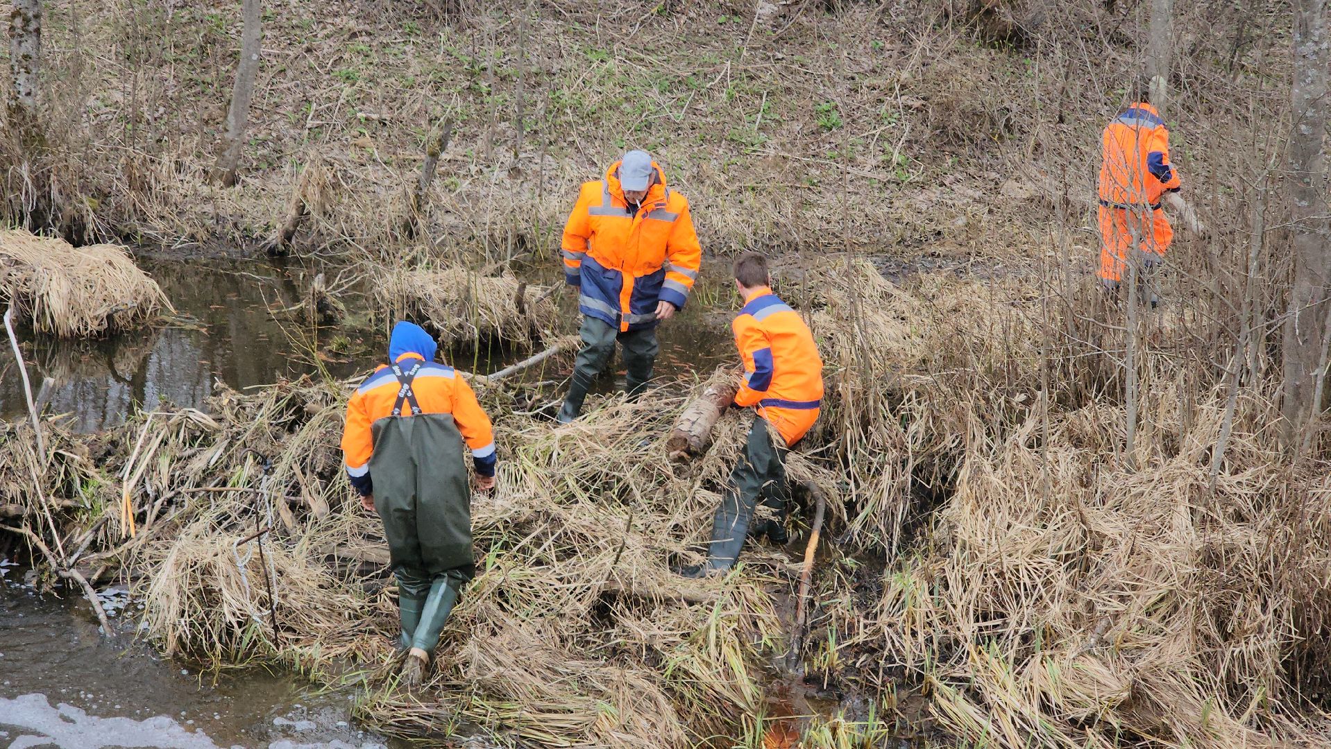 плотина, бобры, благоустройство, притыкино, дорожные работы, руза, рузский городской округ,