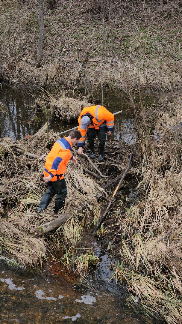 плотина, бобры, благоустройство, притыкино, дорожные работы, руза, рузский городской округ,
