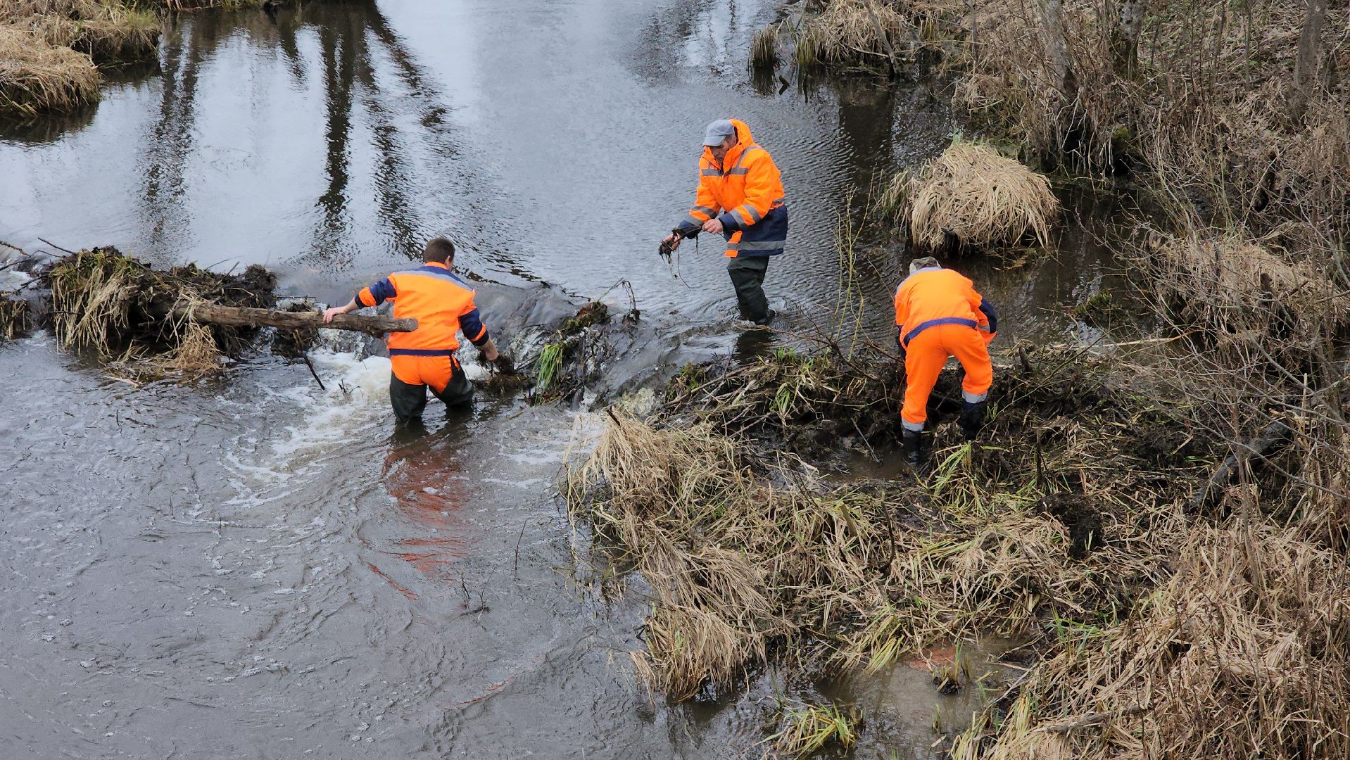 плотина, бобры, благоустройство, притыкино, дорожные работы, руза, рузский городской округ,