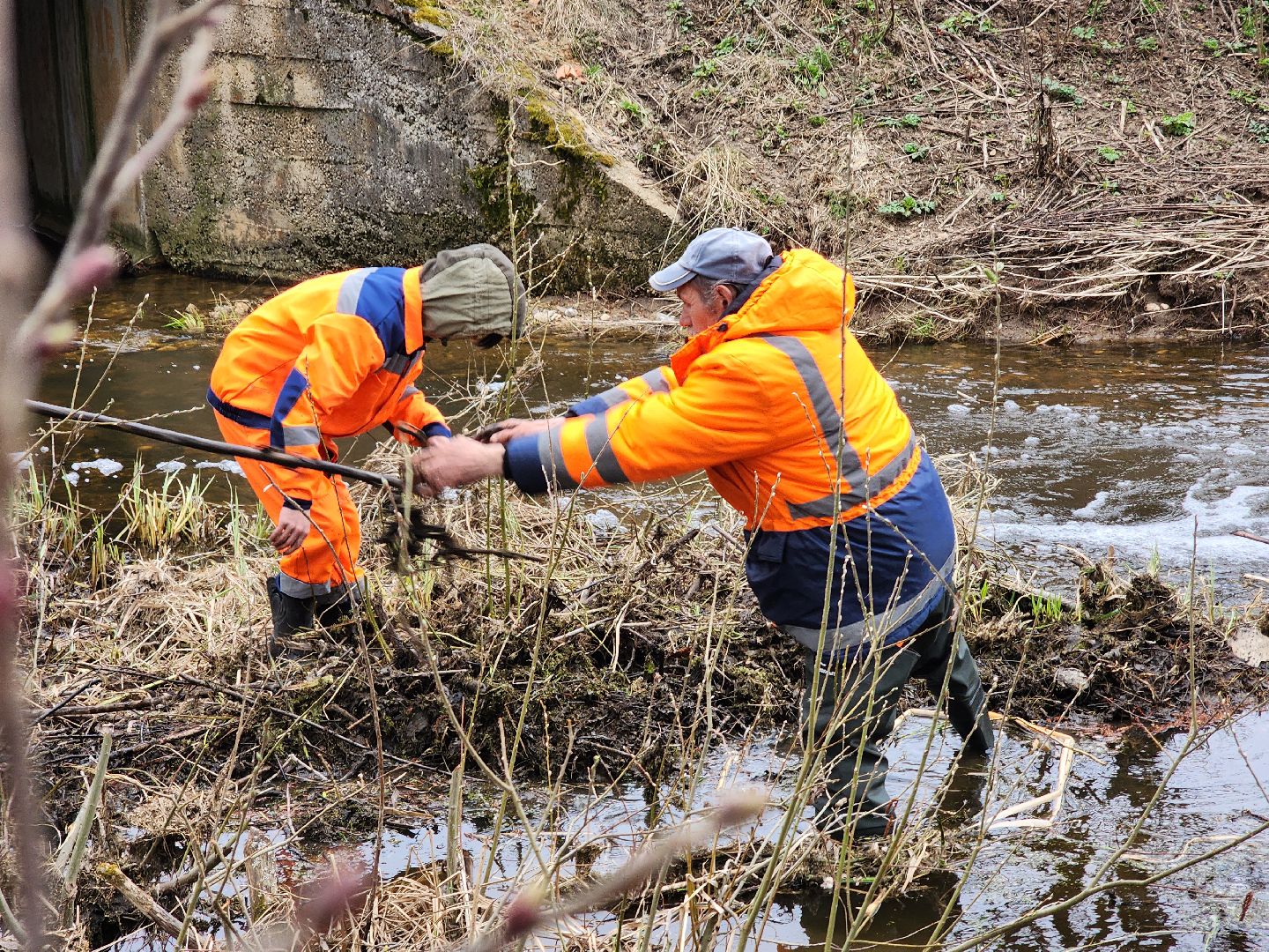 плотина, бобры, благоустройство, притыкино, дорожные работы, руза, рузский городской округ,