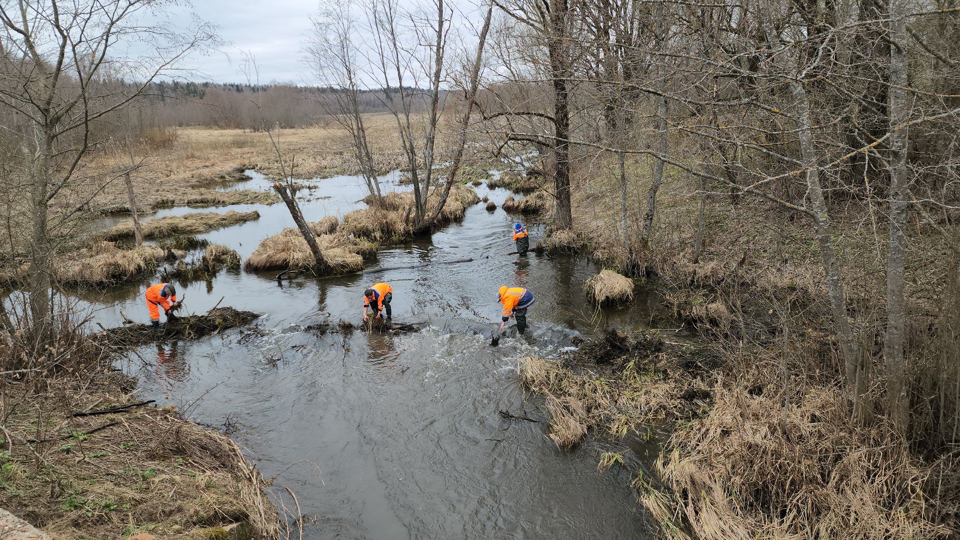 плотина, бобры, благоустройство, притыкино, дорожные работы, руза, рузский городской округ,