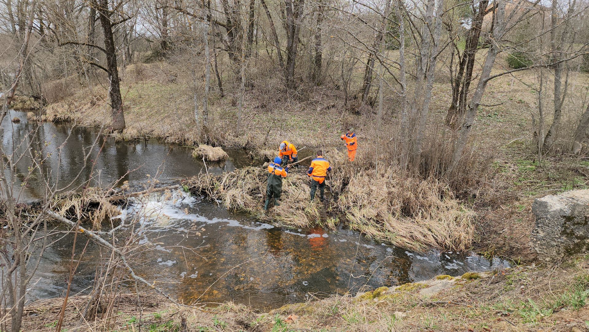плотина, бобры, благоустройство, притыкино, дорожные работы, руза, рузский городской округ,