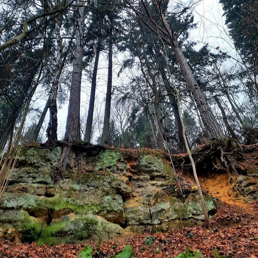 Звенигород, Благоустройство, Фонтаны,