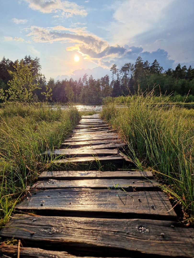 Звенигород, Благоустройство, Фонтаны,
