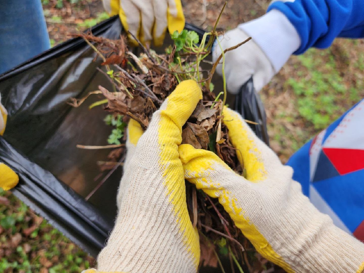 можайск, можайский городской округ, подмосковье, субботники, волонтеры, благоустройство, месяц чистоты и благоустройства, добровольцы, Никольский собор,