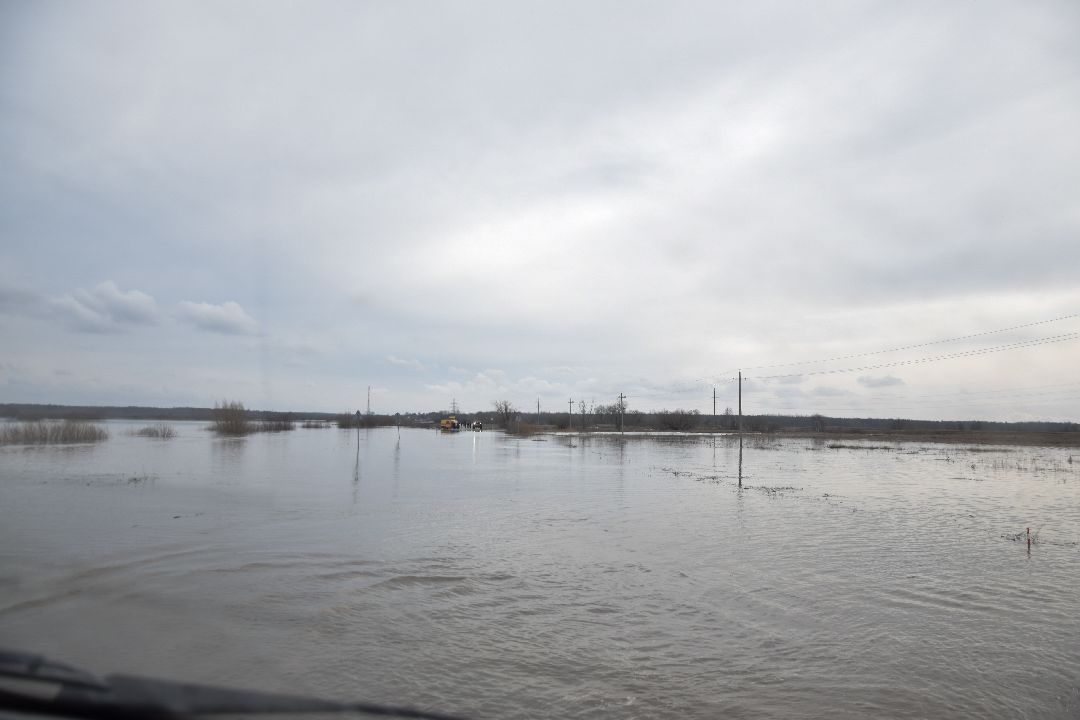 Россети, Луховицы, паводок