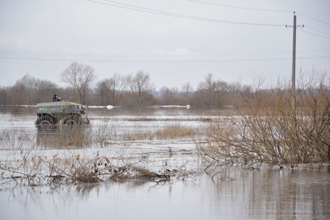 Россети, Луховицы, паводок