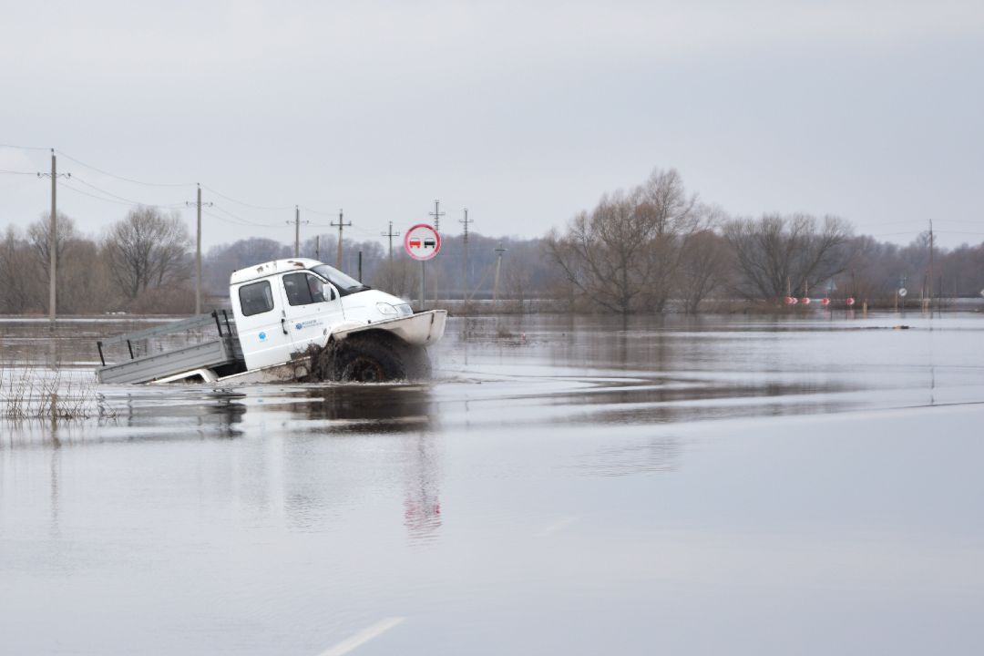Россети, Луховицы, паводок
