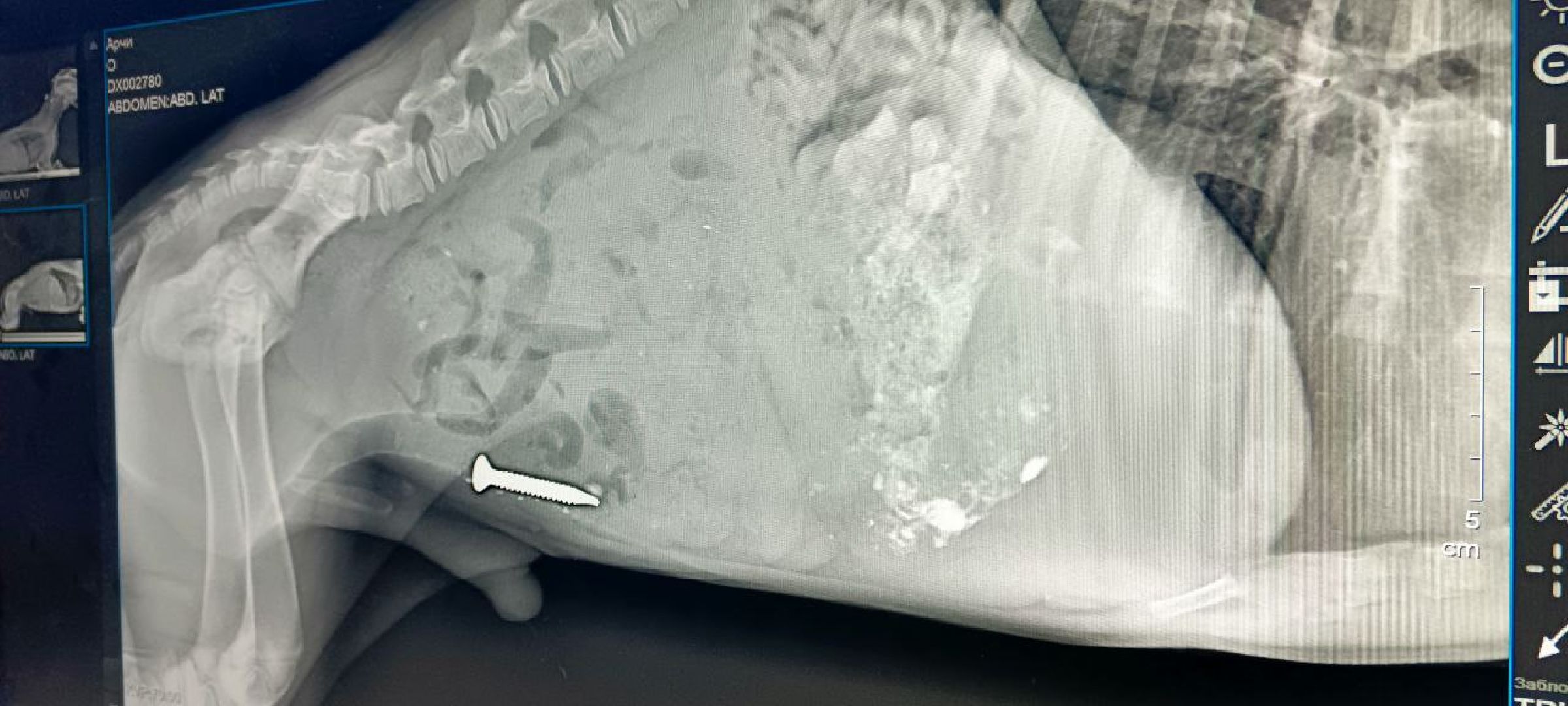 Дмитров, Госветстанция,