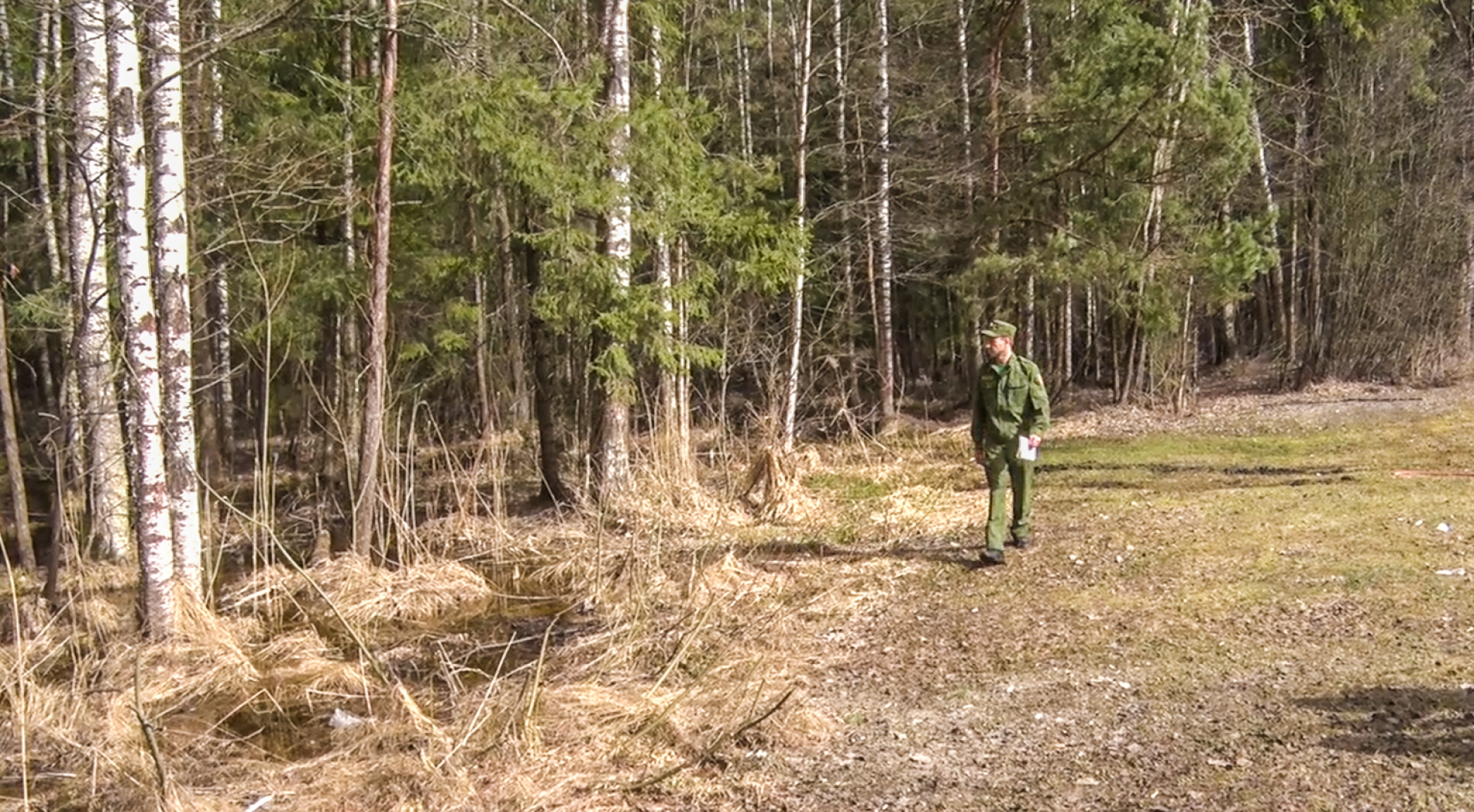 Клин, общество, безопасность, пожары, леса,