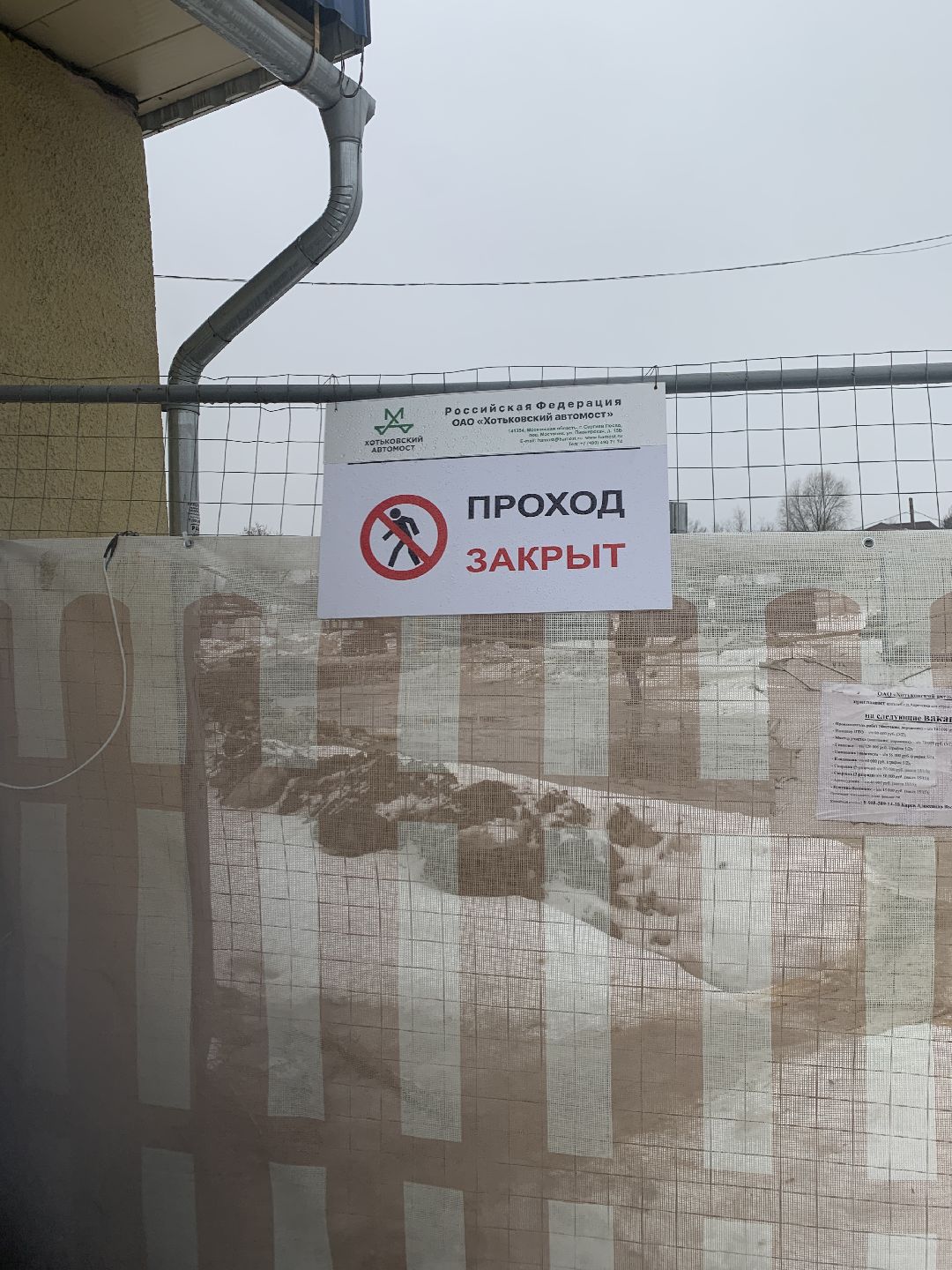 Краснознаменск, общество