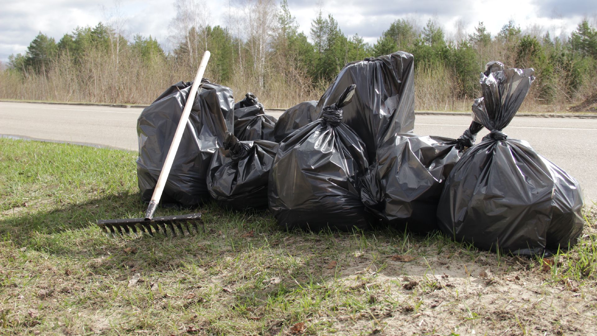 Рошаль, Субботник, чистый город, Большая Шатура,