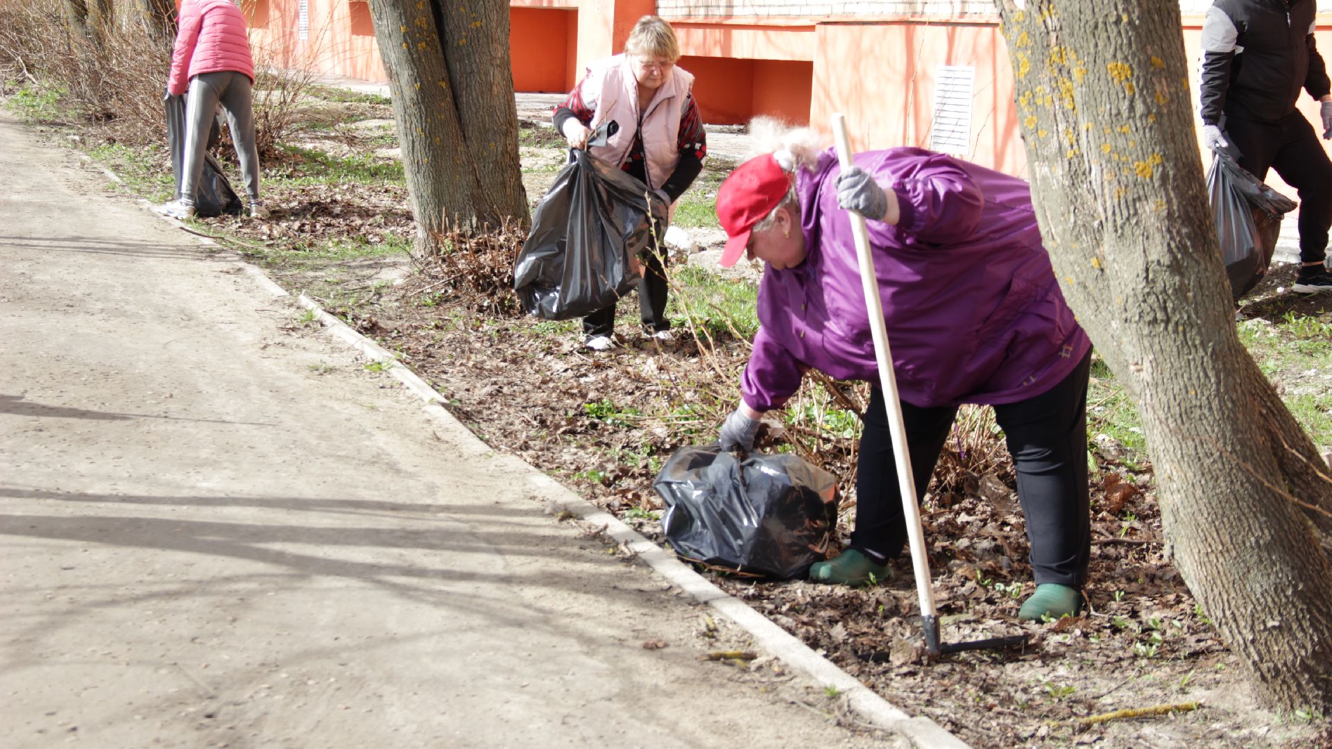 Рошаль, Субботник, чистый город, Большая Шатура,