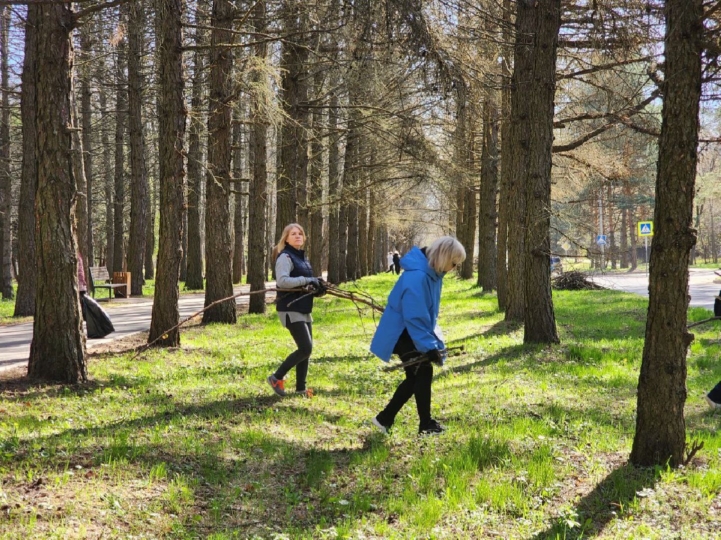 пущино, субботник, уборка города,