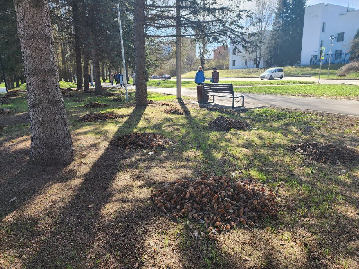 пущино, субботник, уборка города,