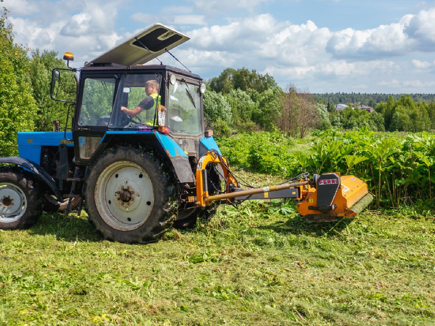 борщевик, борщевик сосновского, борьба с борщевиком,
