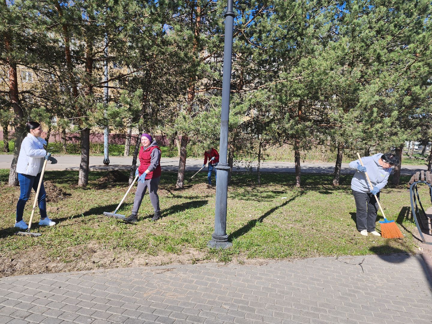серпухов, подмосковье, субботник, супруга участника СВО,