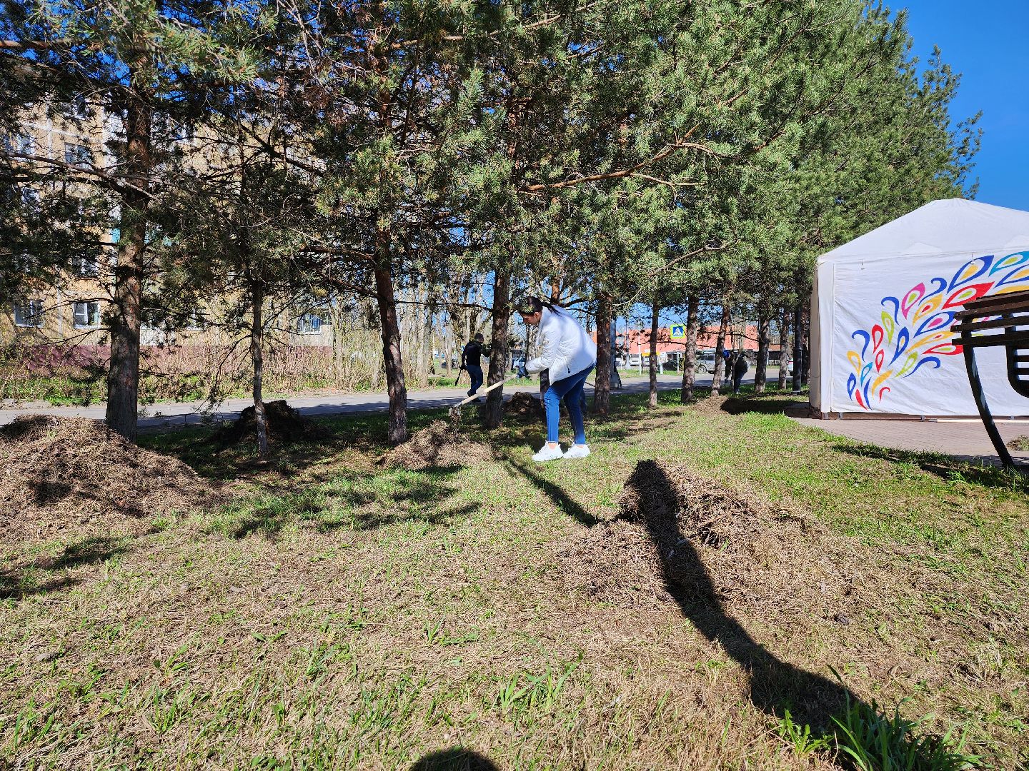 серпухов, подмосковье, субботник, супруга участника СВО,