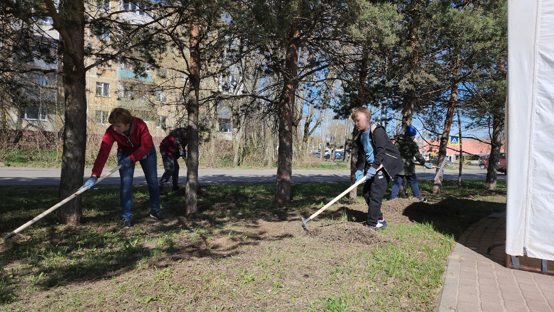 серпухов, подмосковье, субботник, супруга участника СВО,