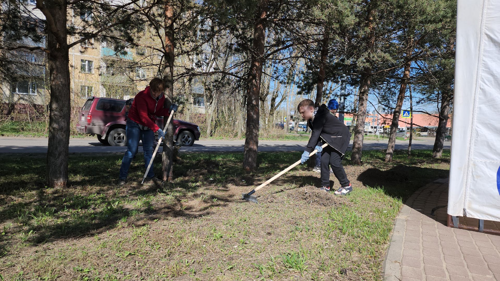 серпухов, подмосковье, субботник, супруга участника СВО,
