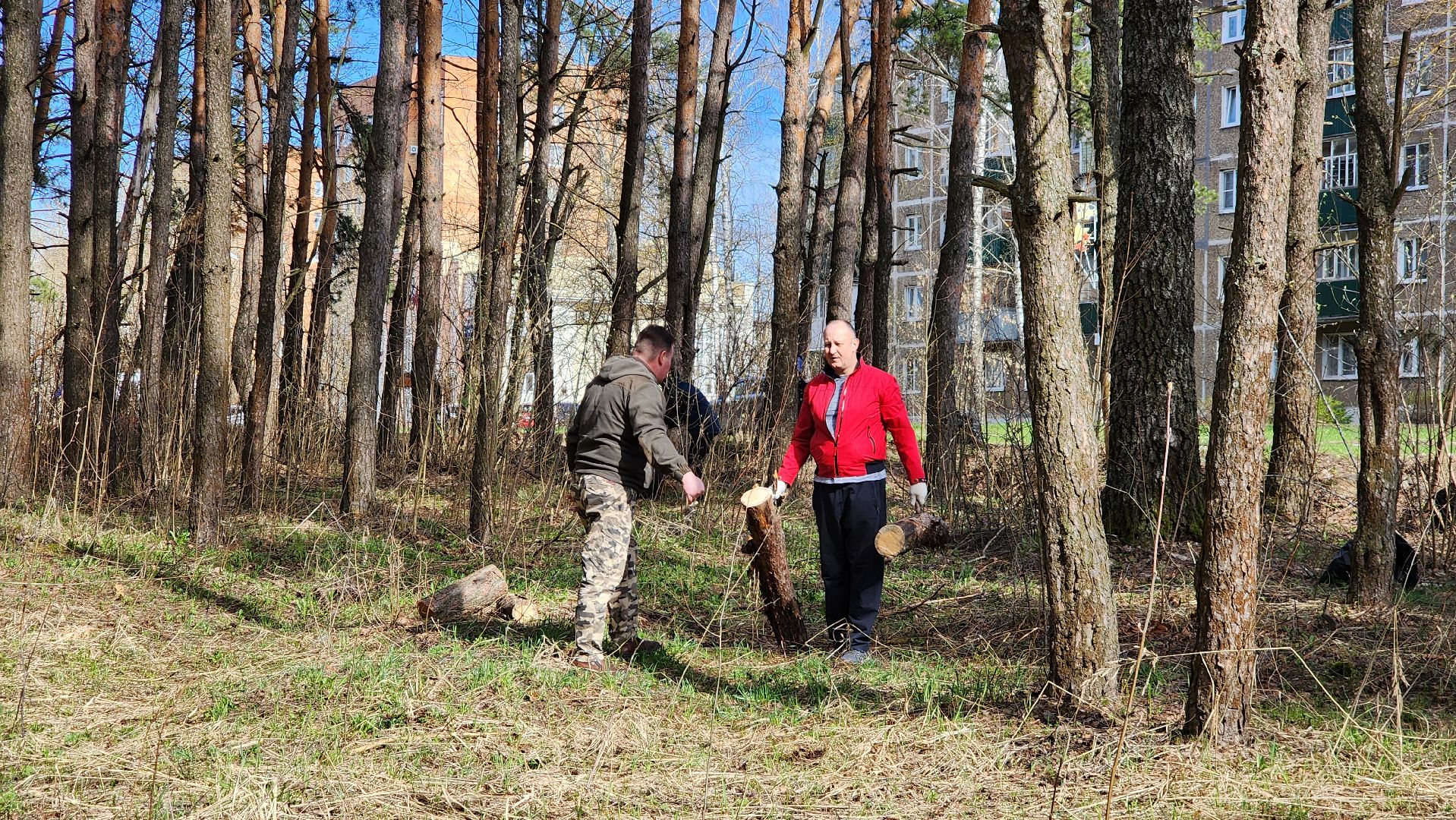 субботник, подмосковье, егорьевск, московская область, акция,