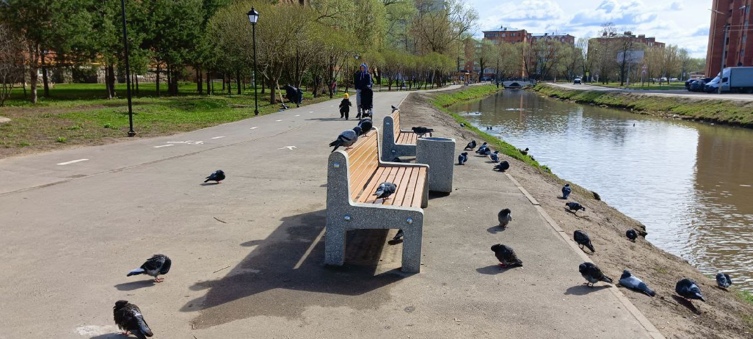 Дмитров, Субботник, Благоустройство,