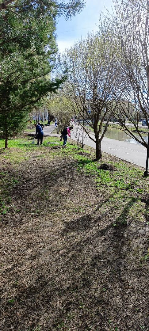 Дмитров, Субботник, Благоустройство,