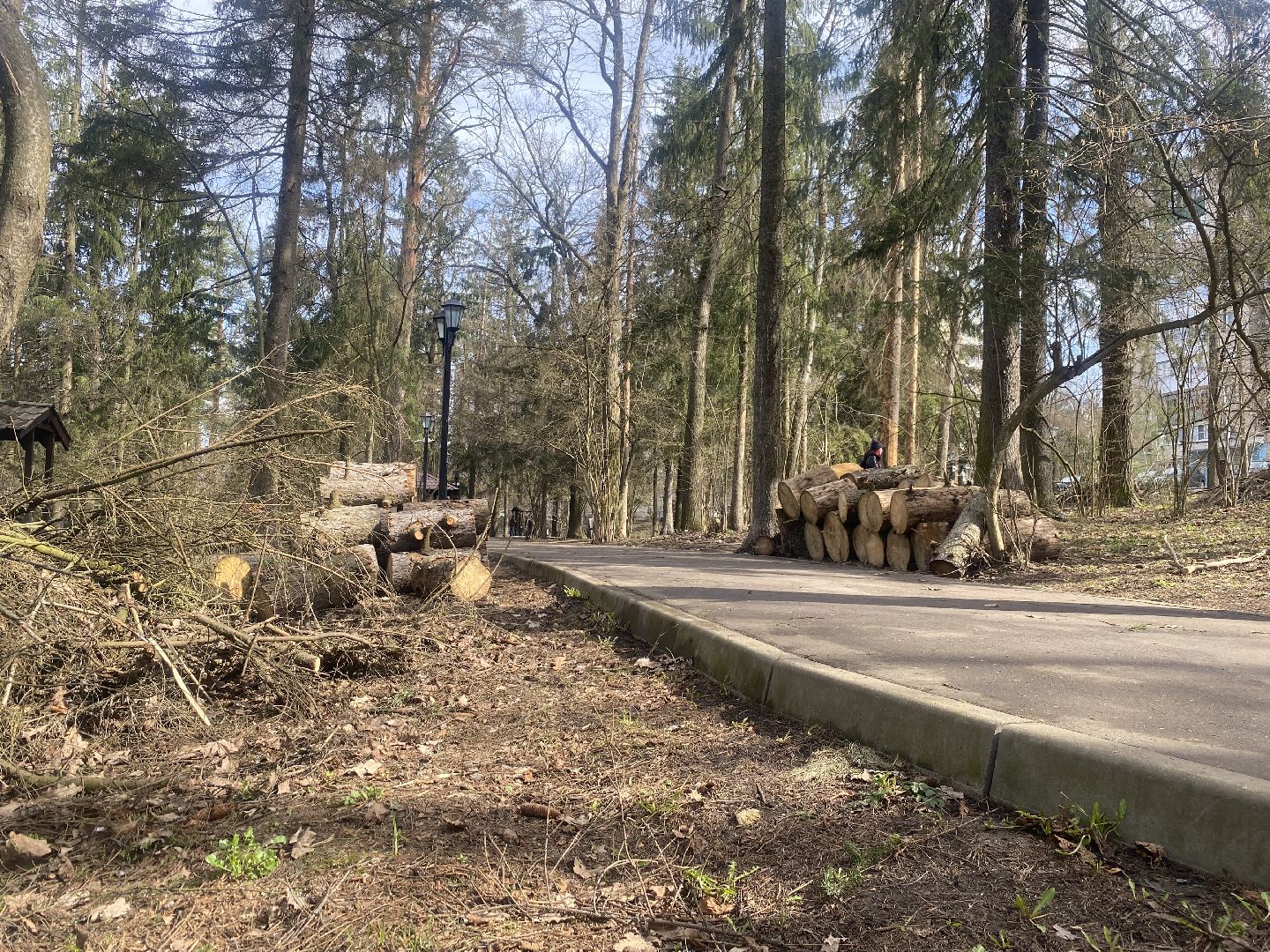 субботник во Власихе, городской субботник, власиха субботник, чистота во Власихе, уборка во Власихе, верхнее озеро во Власихе,