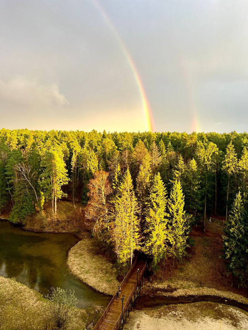 субботник во Власихе, городской субботник, власиха субботник, чистота во Власихе, уборка во Власихе, верхнее озеро во Власихе,