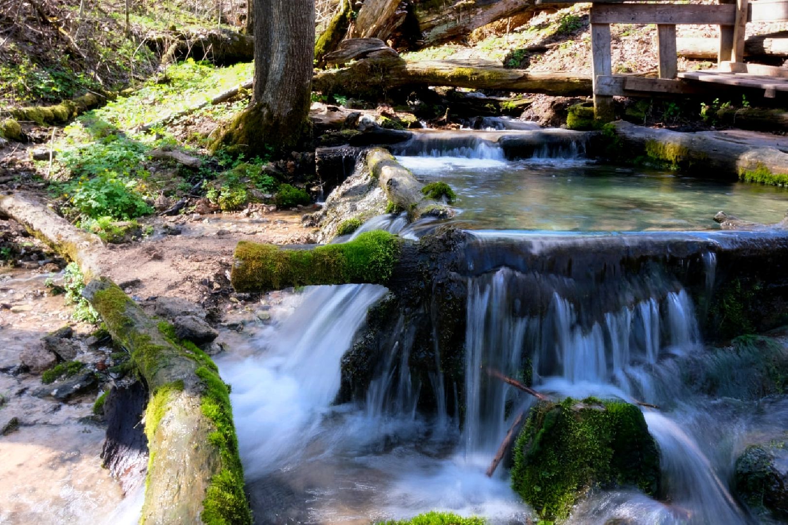 пущино, субботник, экология,