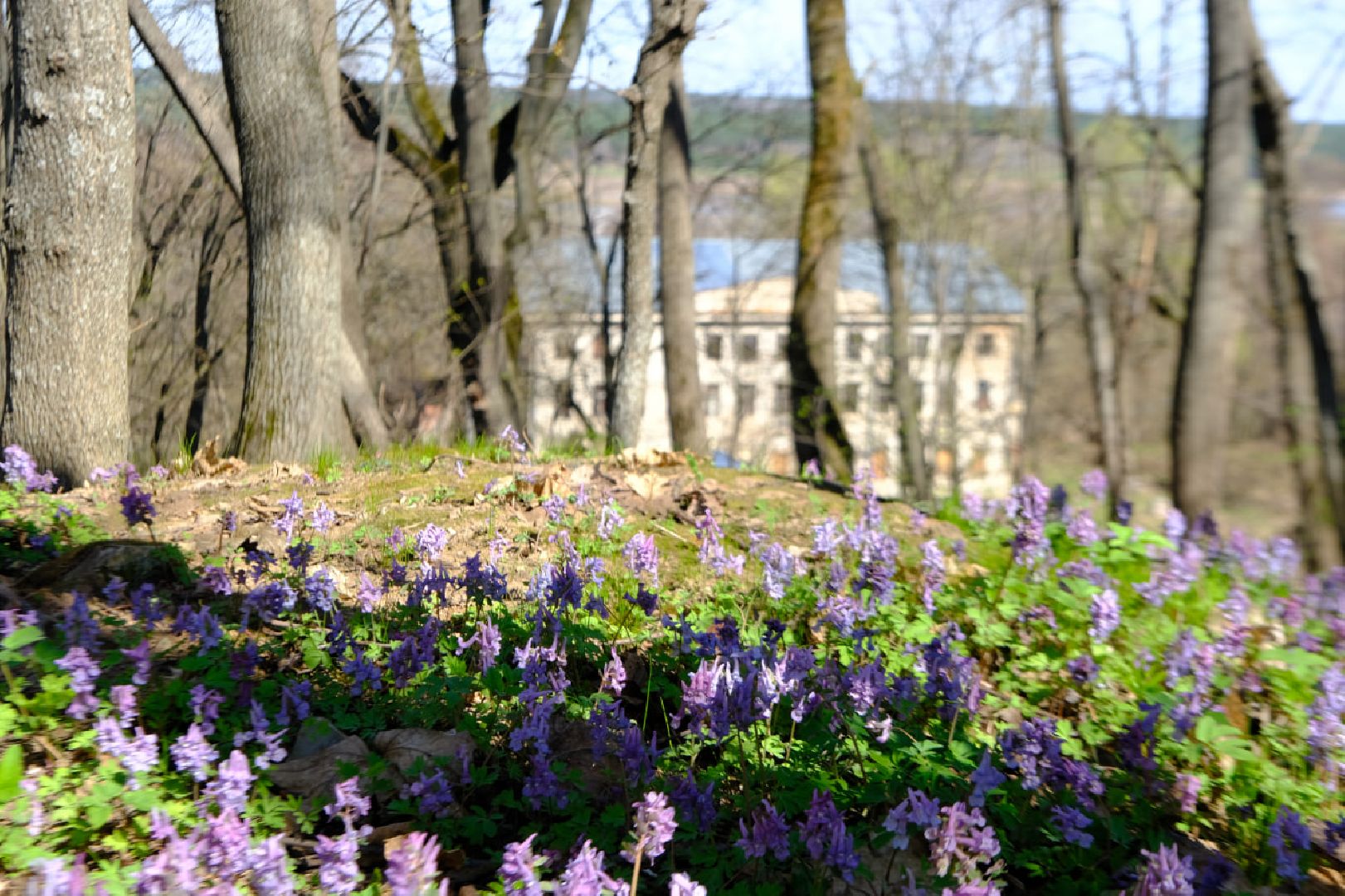 пущино, субботник, экология,