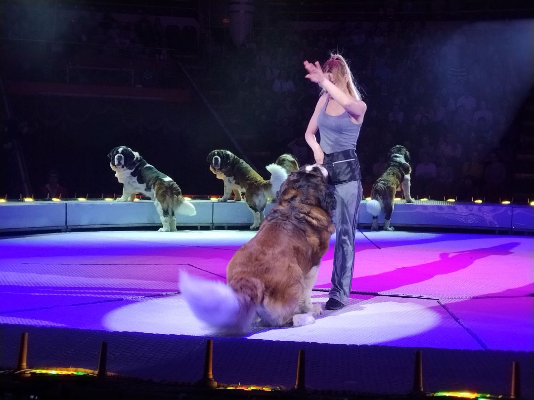 Цирк Никулина, Мытищи, Юрий Никулин