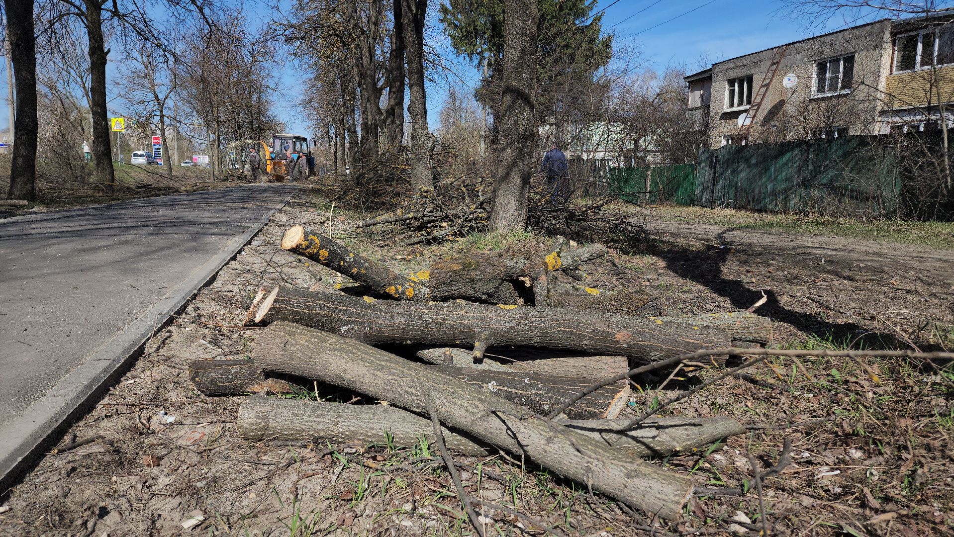 Егорьевск, Подмосковье, Московская область, субботник, акция,