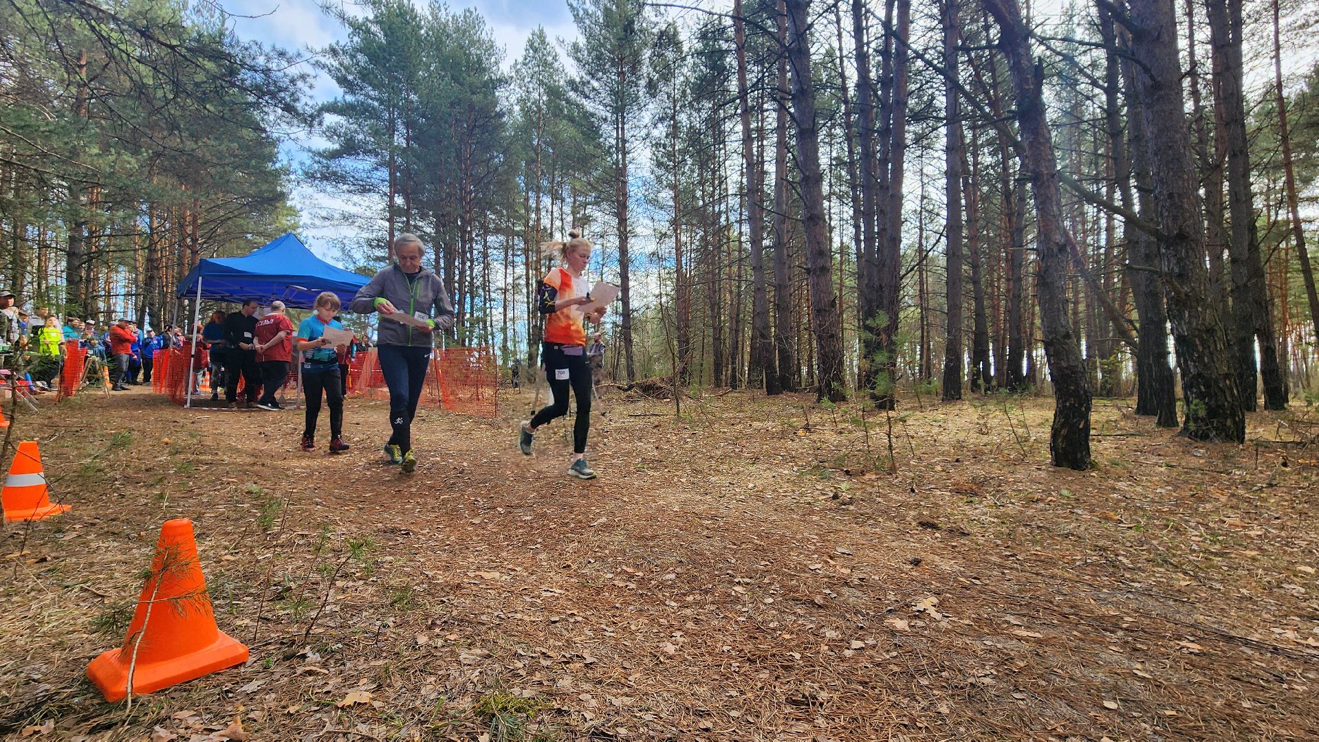 протвинские сосны, спортивное ориентирование, фестиваль, протвино, дюц горизонт, волонтеры подмосковья,